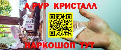 гашик Бийск