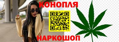 гашик Бийск