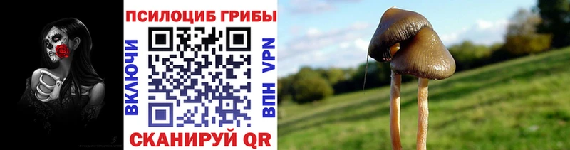Галлюциногенные грибы мухоморы  как найти закладки  Мичуринск 